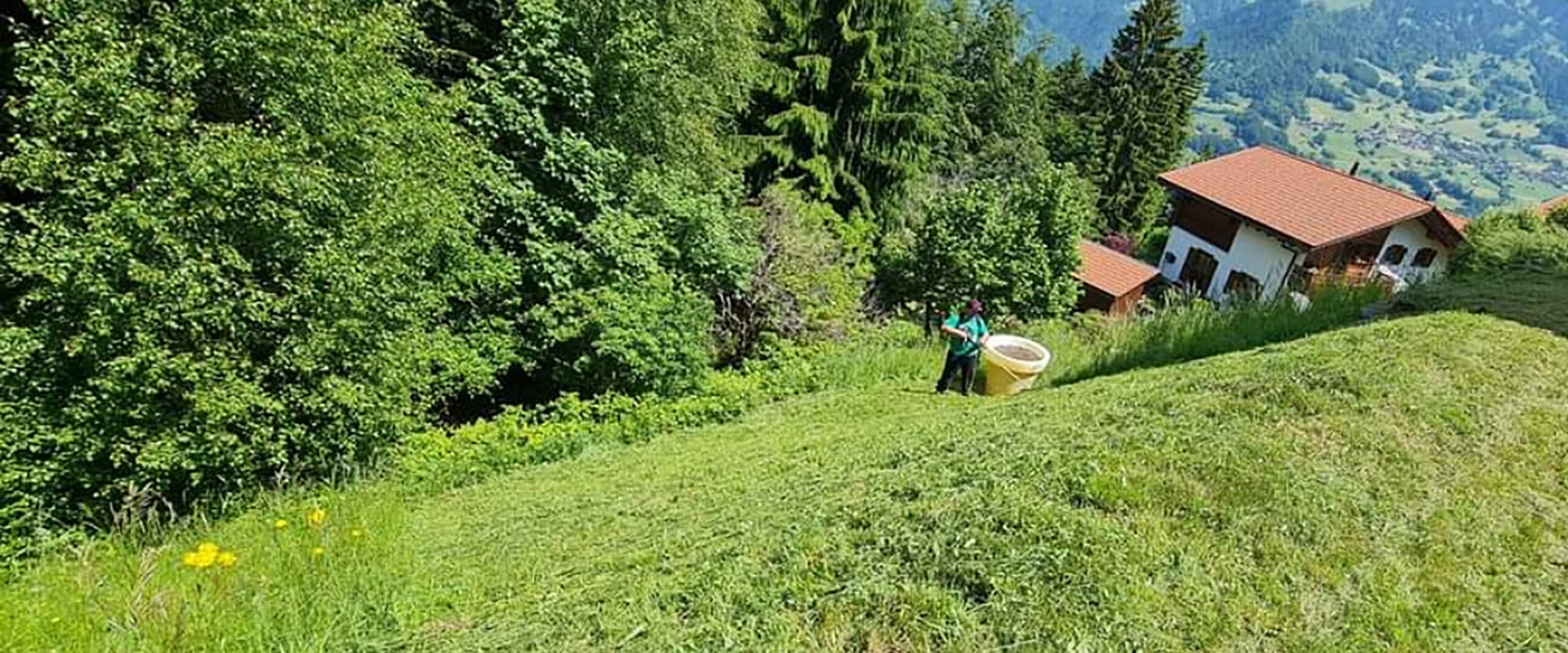 chalet-gruesch